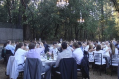 PartyPad-26