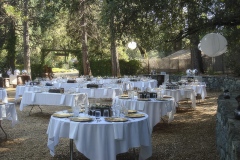 PartyPad-29