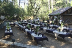 PartyPad-9