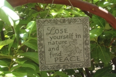 Rose_Garden-10