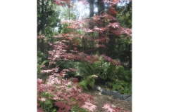 Rose_Garden-6