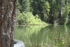 Roth-Lake-5