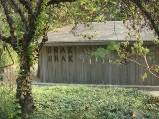 Snak_Shak-3