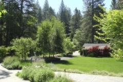 Wedding_Garden-16